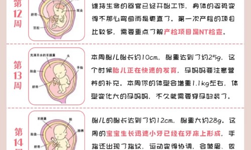 怀孕三个月最近有时候觉得晕-专业怀孕三个月有什么明显症状平台-怀孕三个月打掉危险吗