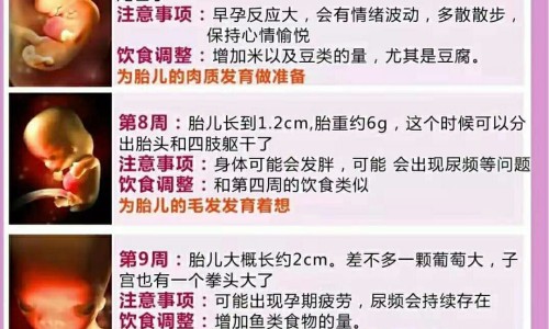 怀孕三个月最近有时候觉得晕-专业怀孕三个月有什么明显症状平台-怀孕三个月打掉危险吗